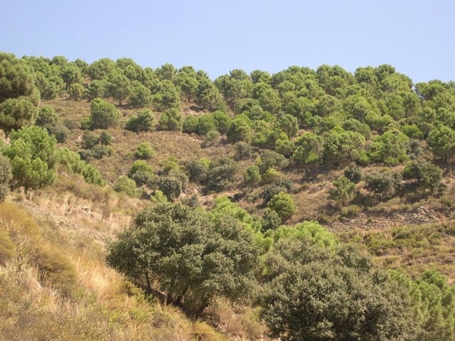 Image No.3-Terre à vendre à Sedella