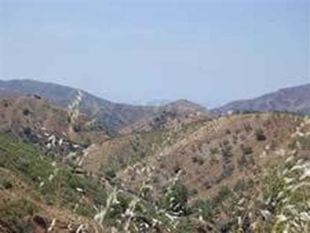 Image No.2-Terre à vendre à Sedella