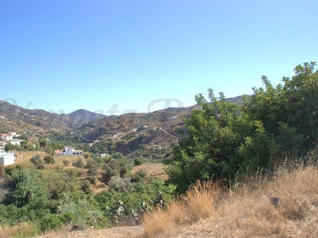 Image No.2-Terre à vendre à Canillas de Albaida