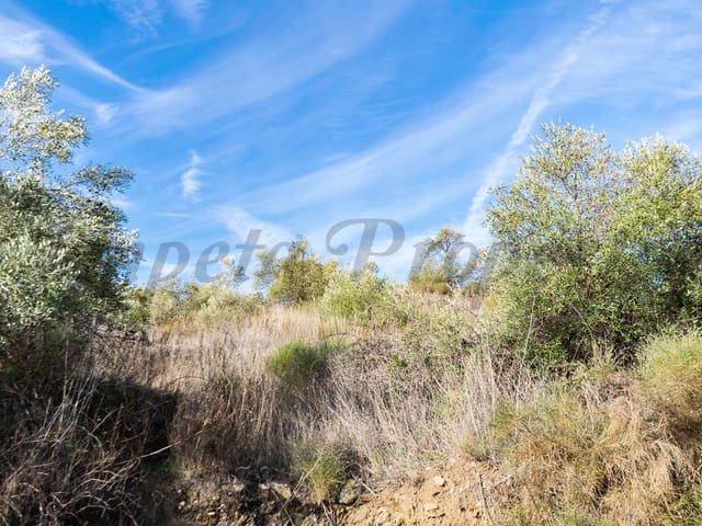 Image No.2-Land for sale