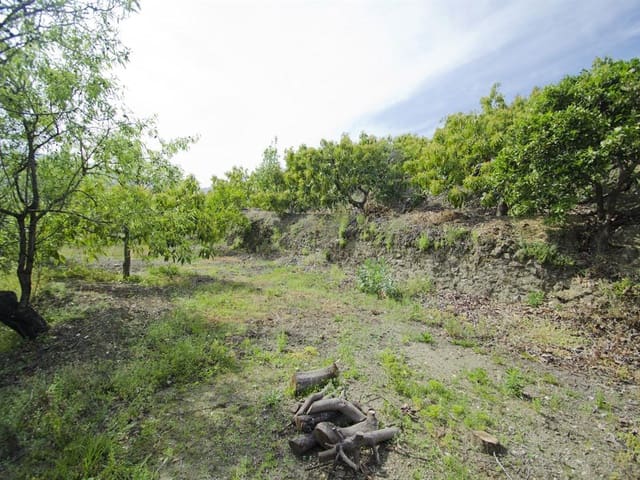 Image No.2-Finca à vendre à Canillas de Albaida