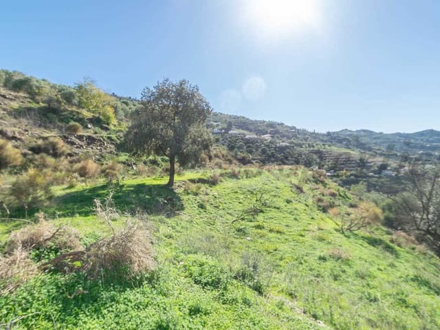 Image No.3-Terre à vendre à Torrox