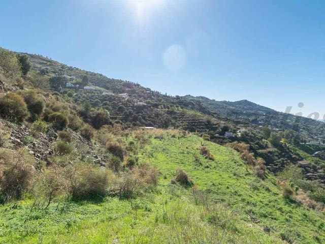 Image No.4-Terre à vendre à Torrox