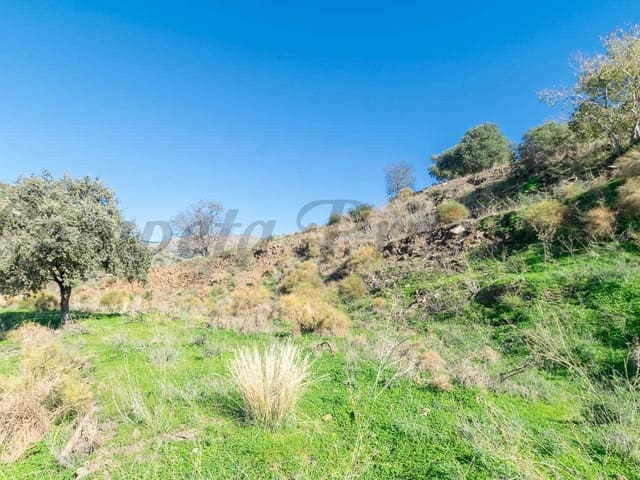 Image No.6-Terre à vendre à Torrox