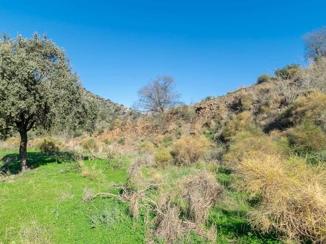 Image No.7-Terre à vendre à Torrox