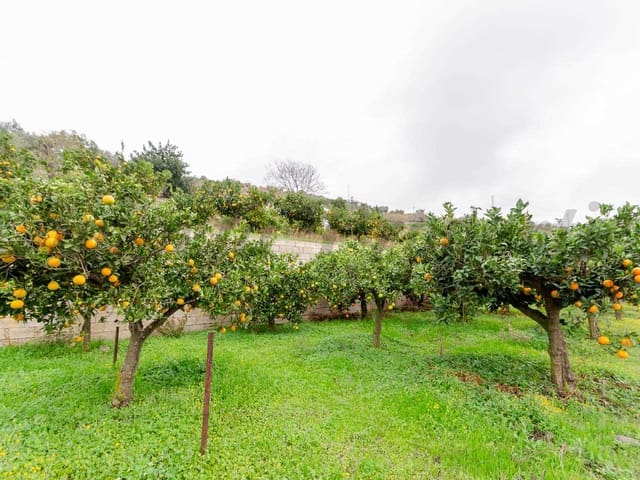 Image No.12-Terre à vendre à Sayalonga