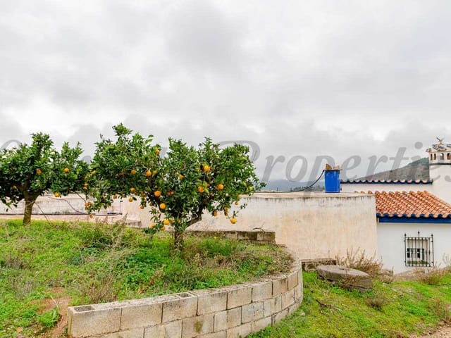 Image No.13-Terre à vendre à Sayalonga