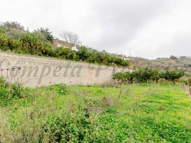 Image No.8-Terre à vendre à Sayalonga