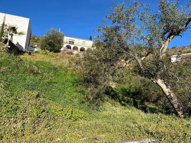 Image No.6-Terre à vendre à Malaga