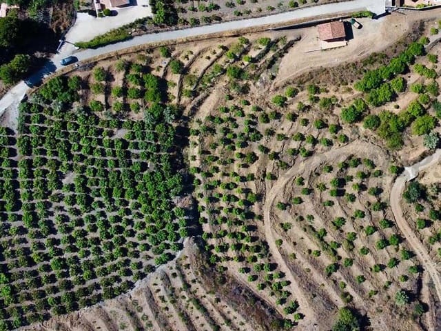 Image No.13-Finca de 1 chambre à vendre à Frigiliana