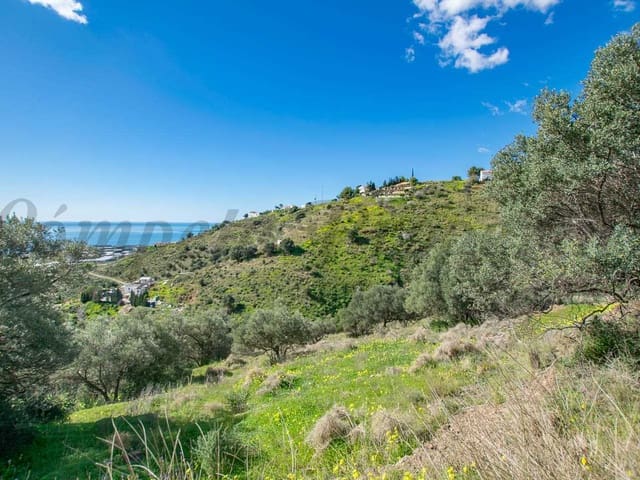 Image No.13-Terre à vendre à Sayalonga
