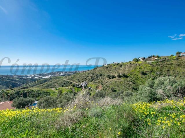 Image No.5-Terre à vendre à Sayalonga