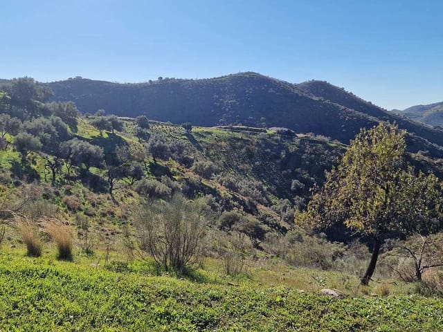 Image No.34-Propriété de 8 chambres à vendre à Sedella