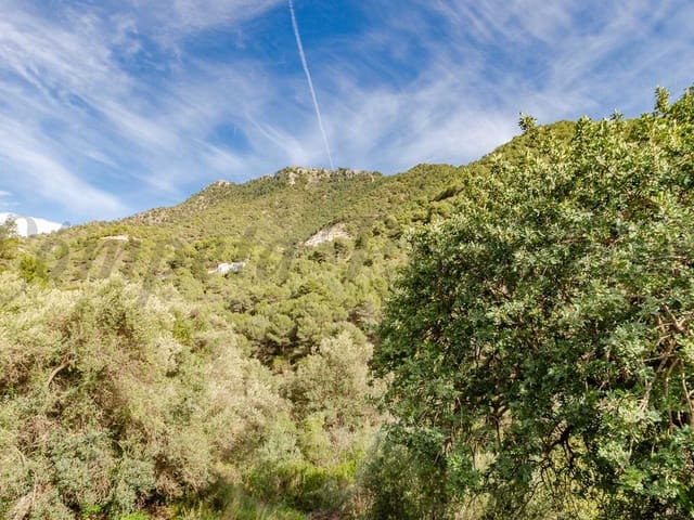 Image No.19-2 Bed Villa for sale