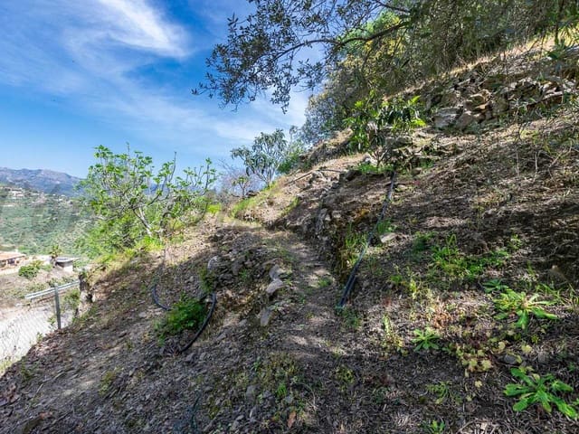 Image No.17-3 Bed Finca for sale