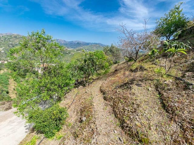 Image No.18-3 Bed Finca for sale