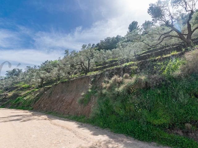 Image No.19-3 Bed Finca for sale