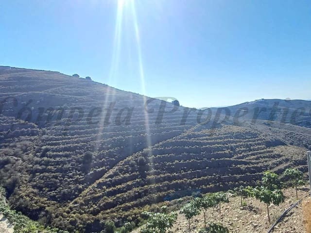 Image No.2-Terre à vendre à Torrox