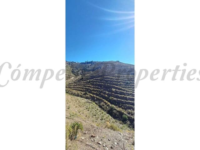 Image No.4-Terre à vendre à Torrox