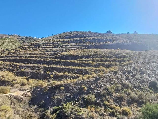 Image No.5-Terre à vendre à Torrox