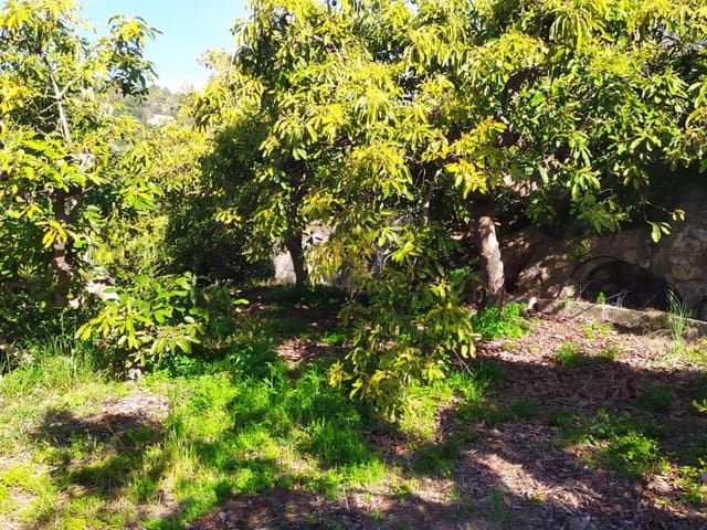 Image No.10-Terre à vendre à Frigiliana