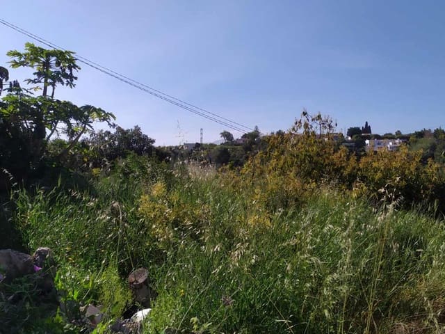 Image No.13-Terre à vendre à Frigiliana