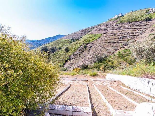Image No.19-Finca de 2 chambres à vendre à Cómpeta