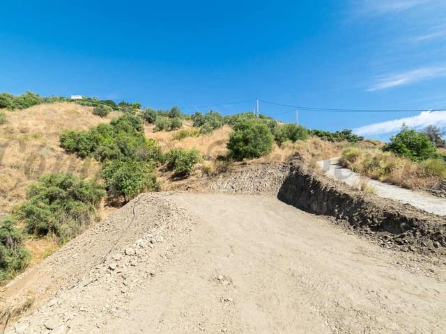 Image No.8-Finca à vendre à Torrox