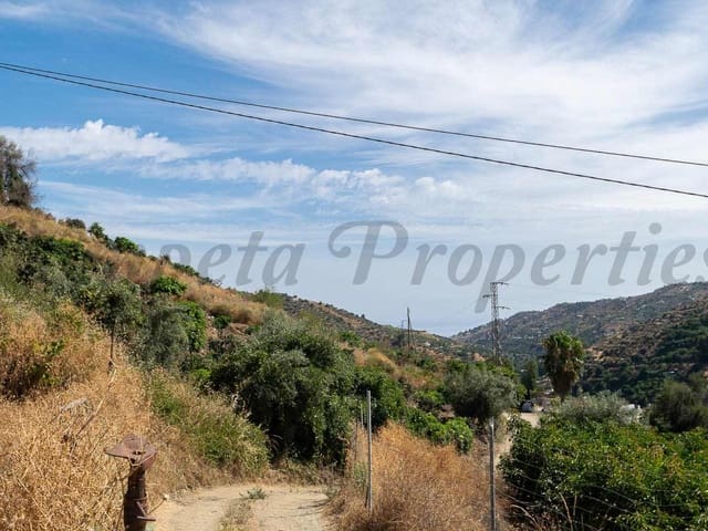 Image No.9-Finca à vendre à Torrox