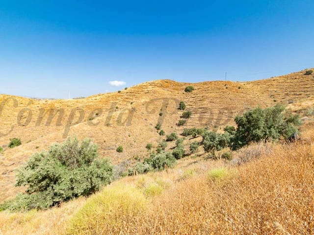 Image No.4-Land for sale