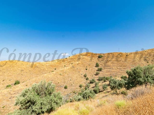 Image No.5-Land for sale