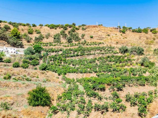 Image No.2-Terre à vendre à Torrox