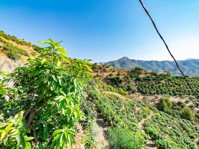 Image No.4-Terre à vendre à Torrox