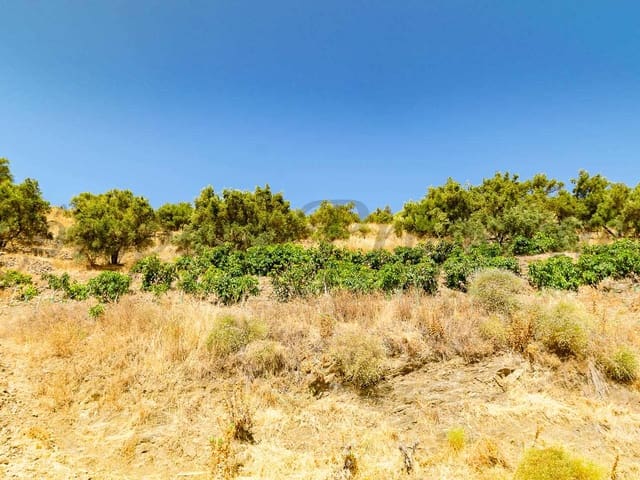 Image No.5-Terre à vendre à Torrox