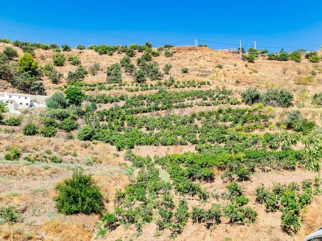 Image No.7-Terre à vendre à Torrox
