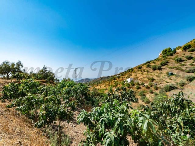 Image No.8-Terre à vendre à Torrox