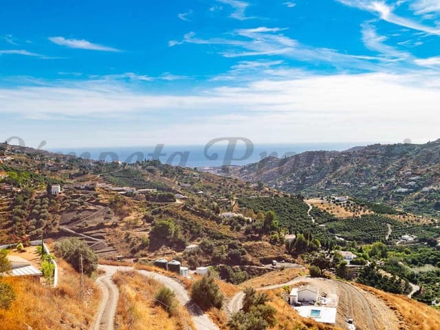 Image No.22-Finca de 3 chambres à vendre à Torrox