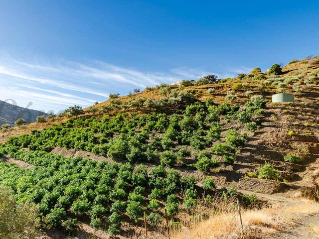 Image No.13-2 Bed Villa for sale