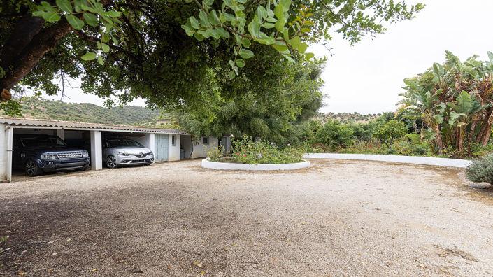 Image No.17-Finca de 3 chambres à vendre à Jimena de la Frontera