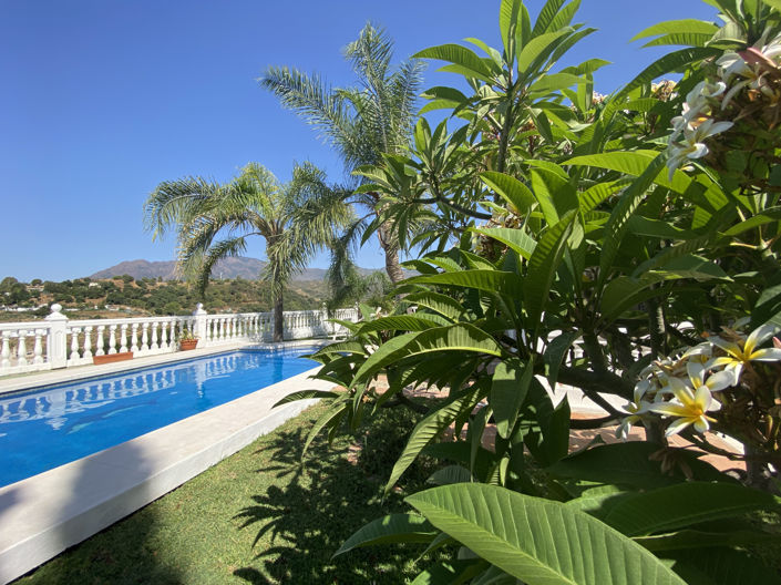 Image No.21-Finca de 3 chambres à vendre à Estepona