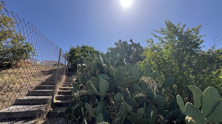 Image No.26-Finca de 3 chambres à vendre à Estepona