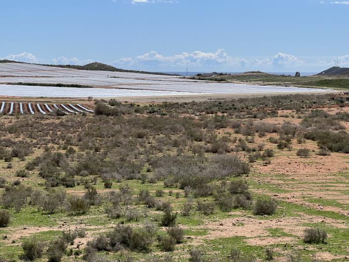 Image No.22-Maison de ville de 3 chambres à vendre à Desert Springs