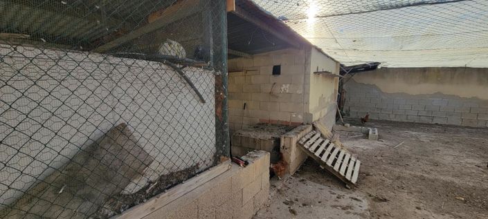 Image No.19-Propriété de 1 chambre à vendre à San Miguel de Salinas