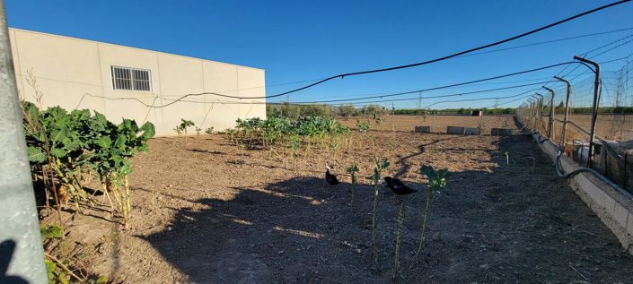 Image No.21-Propriété de 1 chambre à vendre à San Miguel de Salinas