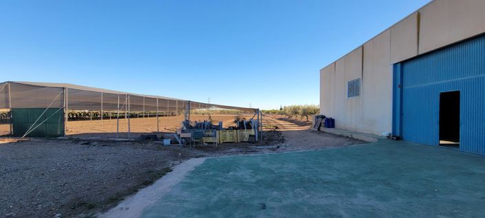 Image No.22-Propriété de 1 chambre à vendre à San Miguel de Salinas