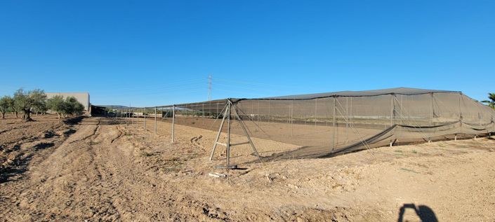 Image No.26-Propriété de 1 chambre à vendre à San Miguel de Salinas