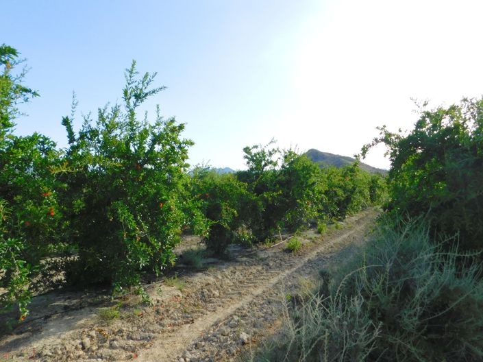 Image No.3-Property for sale