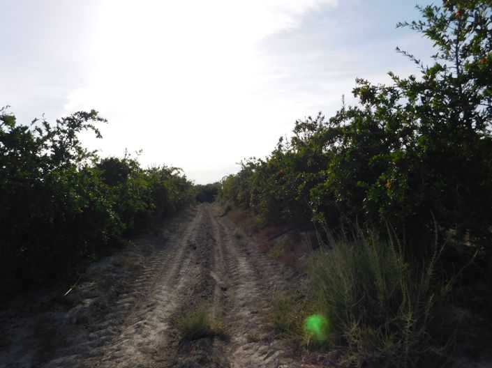 Image No.10-Property for sale