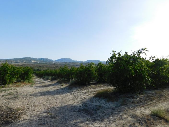 Image No.12-Property for sale