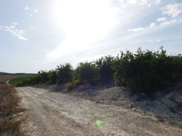 o1j097mg2l12b2g7d1deumtp7k527